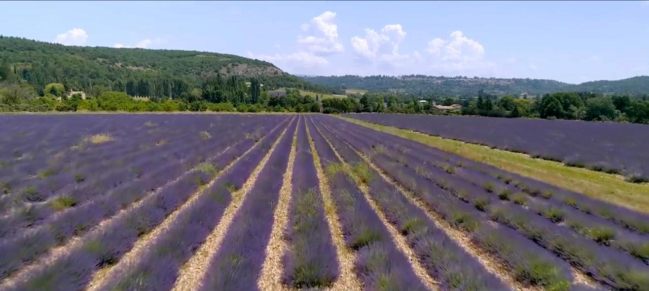 Le Nesk Ventoux - Hotel Sault-de-Vaucluse Buitenkant foto