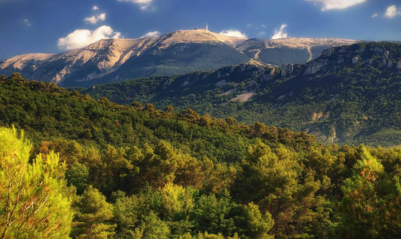 Le Nesk Ventoux - Hotel Sault-de-Vaucluse Buitenkant foto